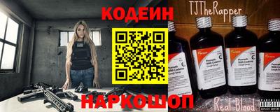 индика Гусев
