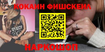 индика Гусев