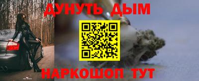 индика Гусев