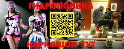 бошки Гусь-Хрустальный