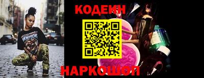 индика Гусев