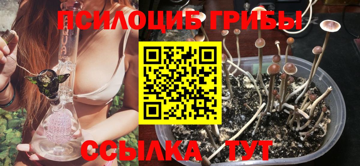 Псилоцибиновые грибы прущие грибы Нарткала