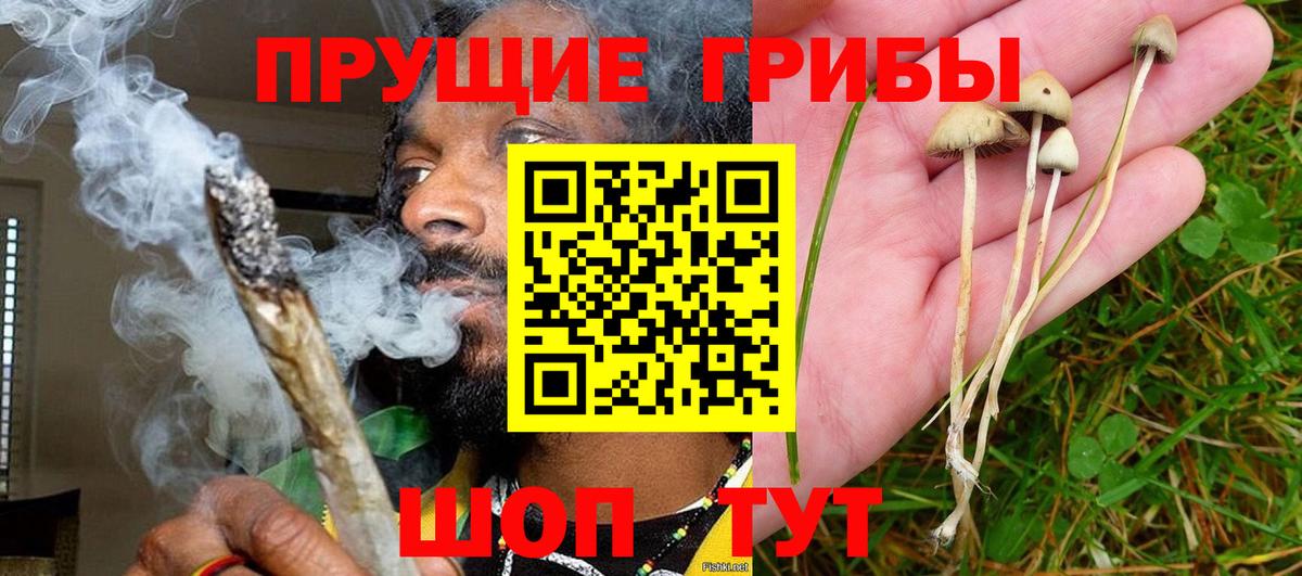 Нарткала  Галлюциногенные грибы мухоморы  Вход с VPN  Галлюциногенные грибы GOLDEN TEACHER 